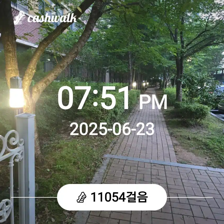 만보걷기를....