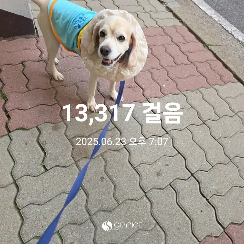 월요일 마무리 