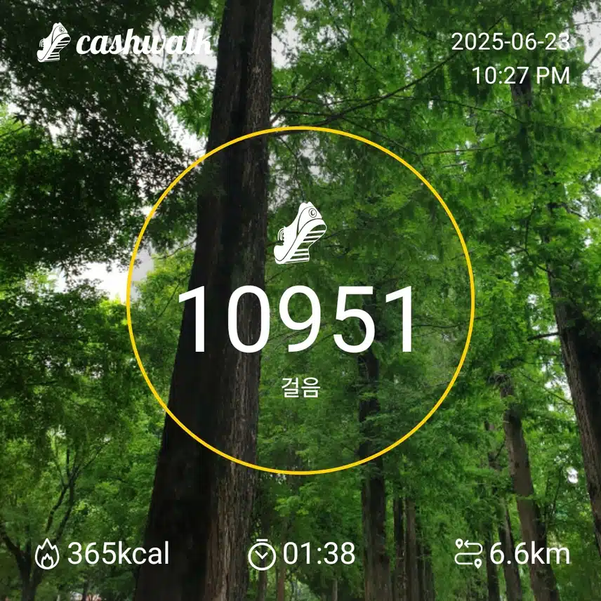 굿밤