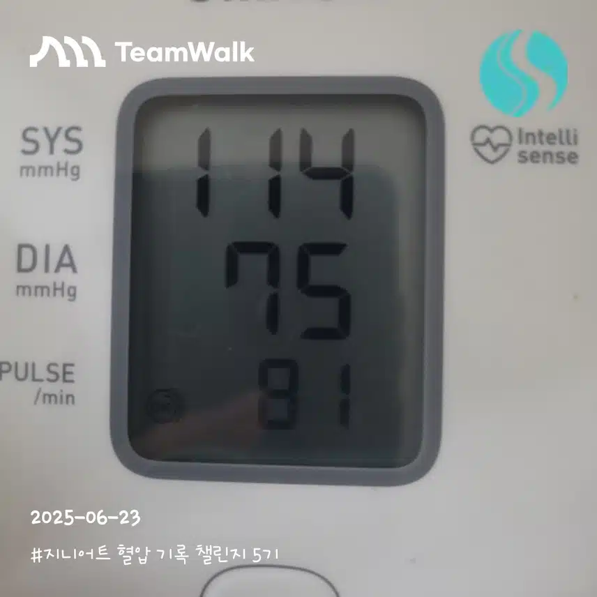 인증 