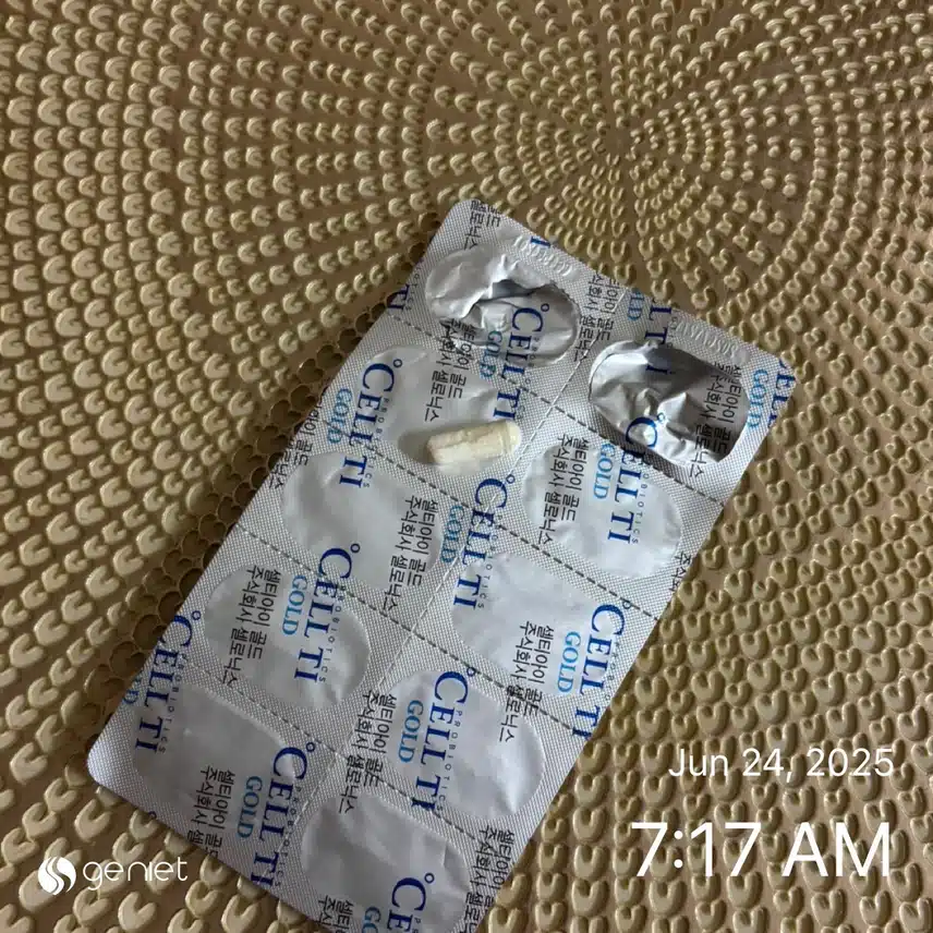 유산균💊