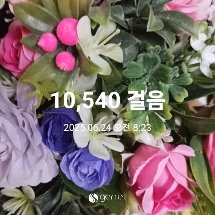오전 운동 
