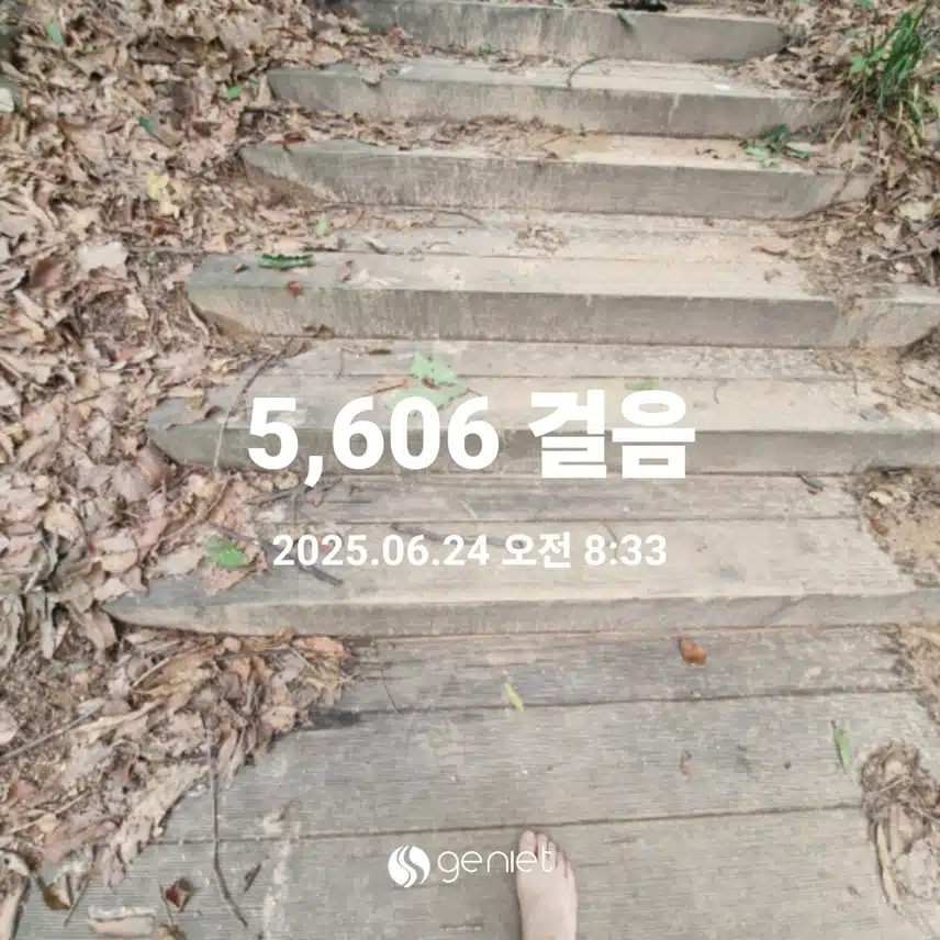 숲에서 