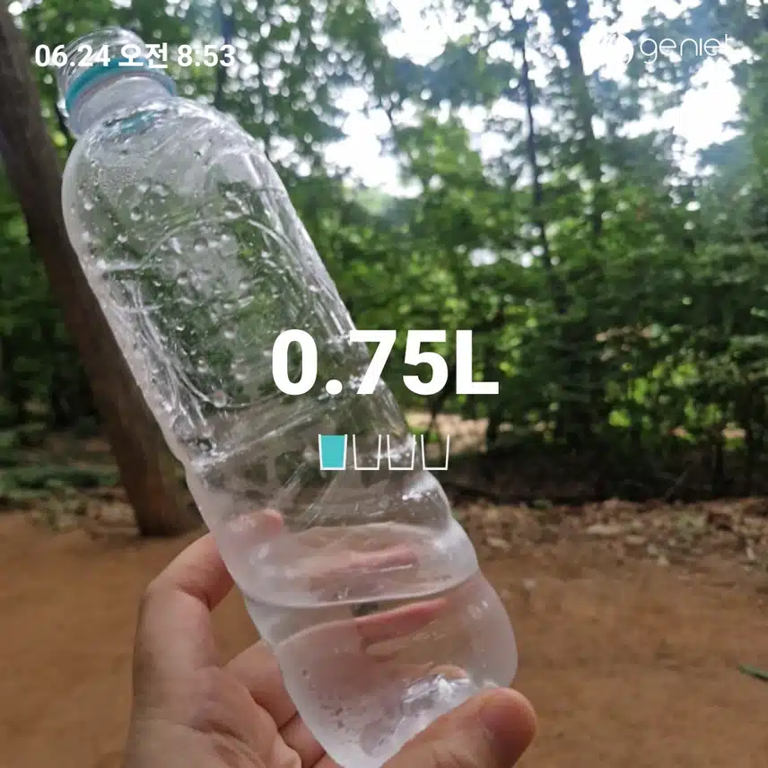 숲에서 