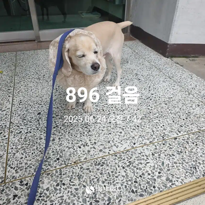 화요일 아침 