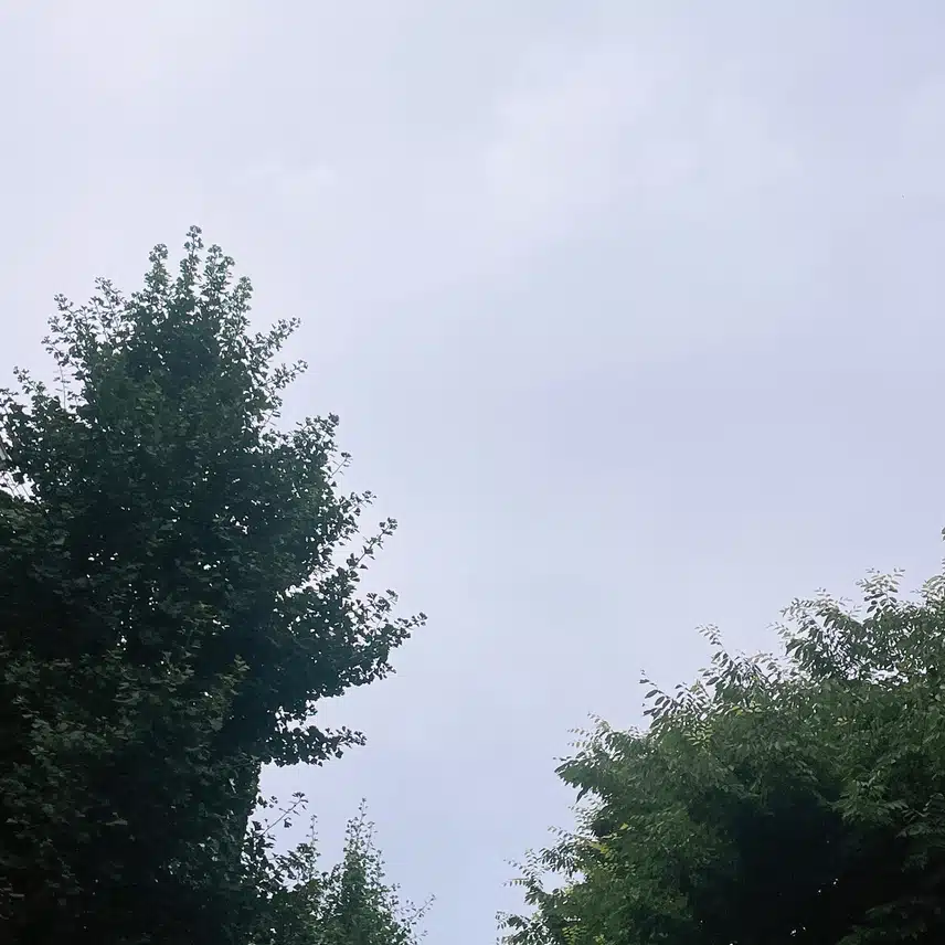 조금 흐림