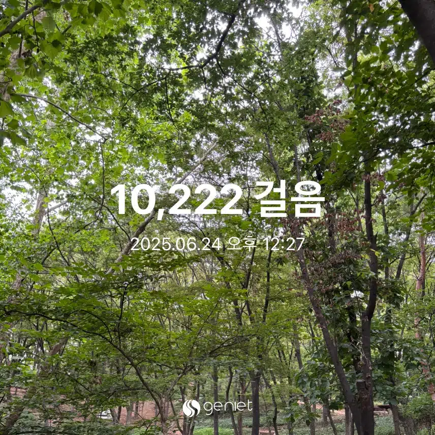 만보걷기 완료