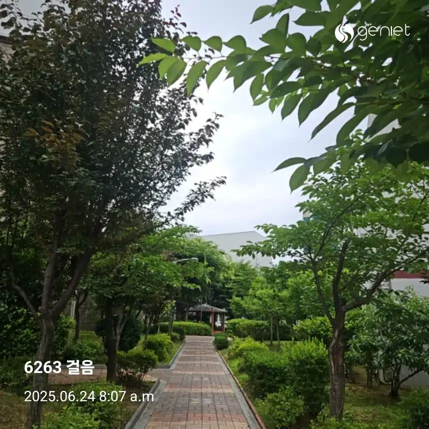 오전 산책으로 🏃 