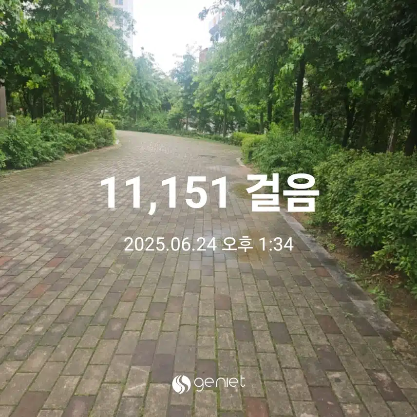 점심 후 걷기와 계단오르기로 🏃