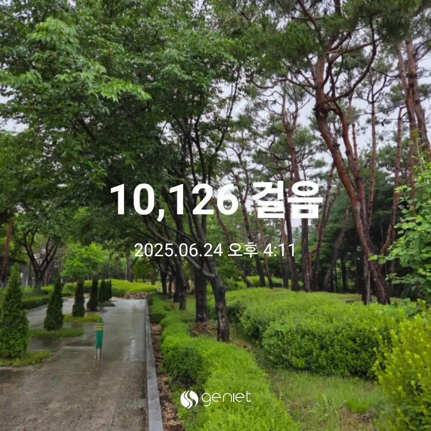 비가와도 만보 걸었어요 