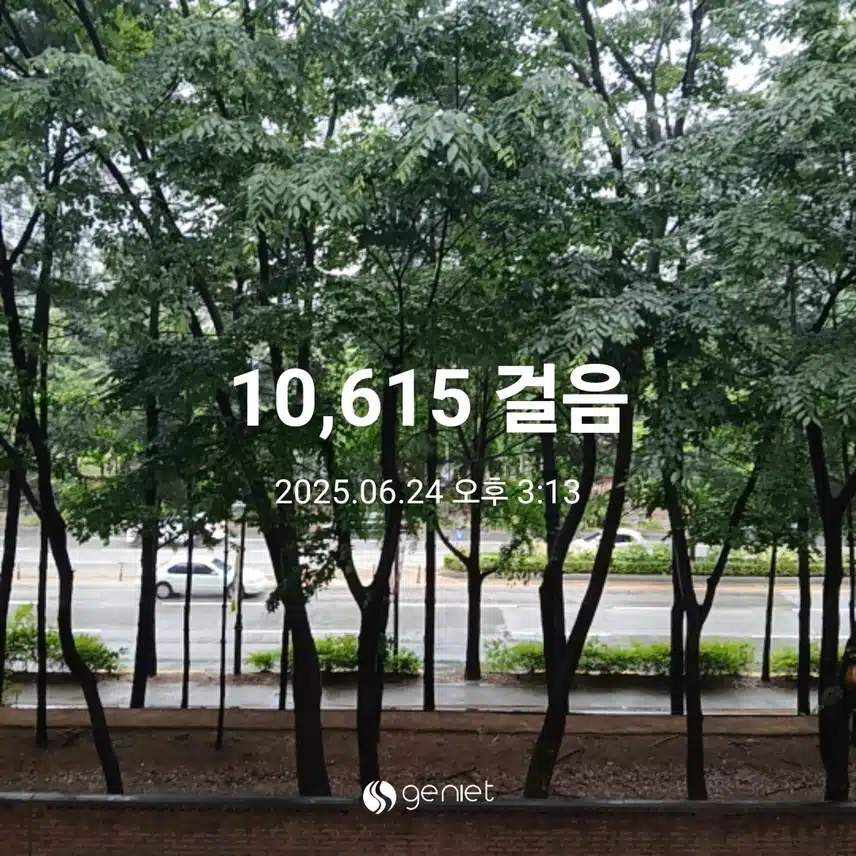 화요일 걷기운동^^