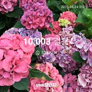 6월 24일 만보 완주 