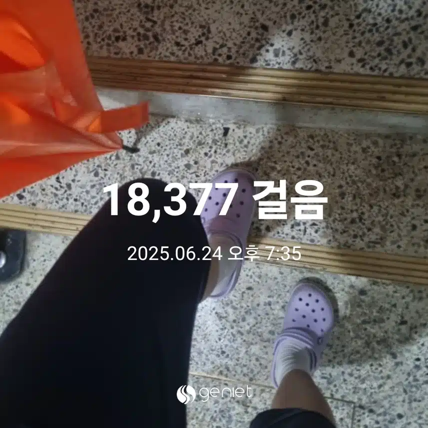 비와도 저녁산책 했어요.