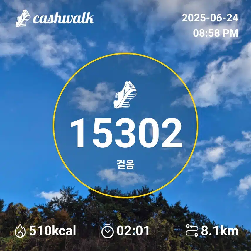 만보인증