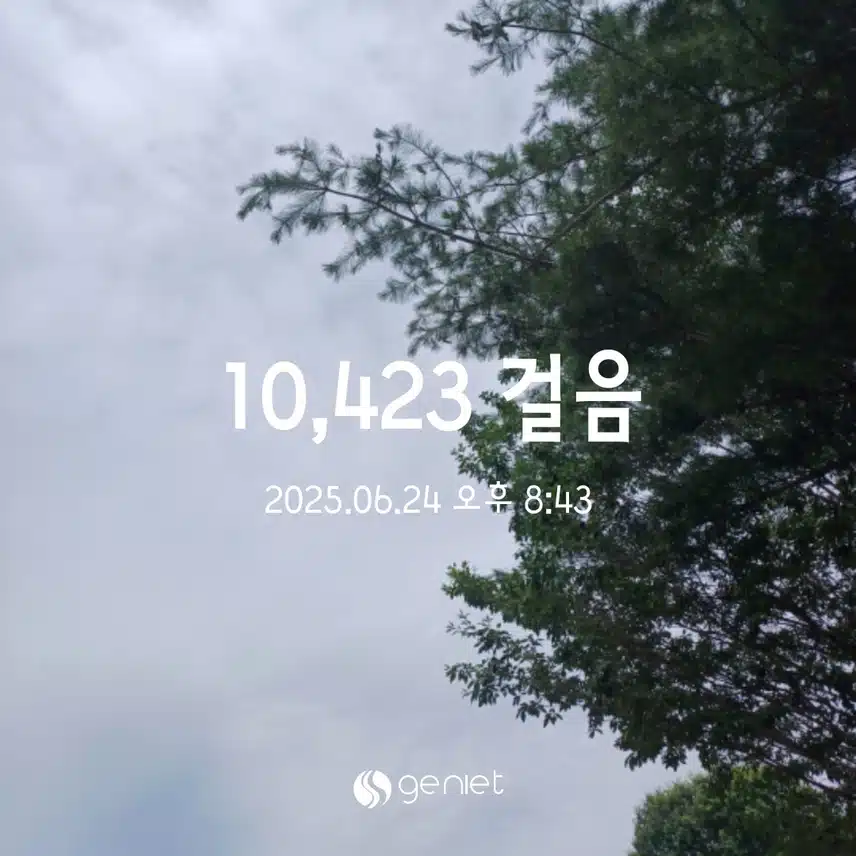 화욜 걸음 