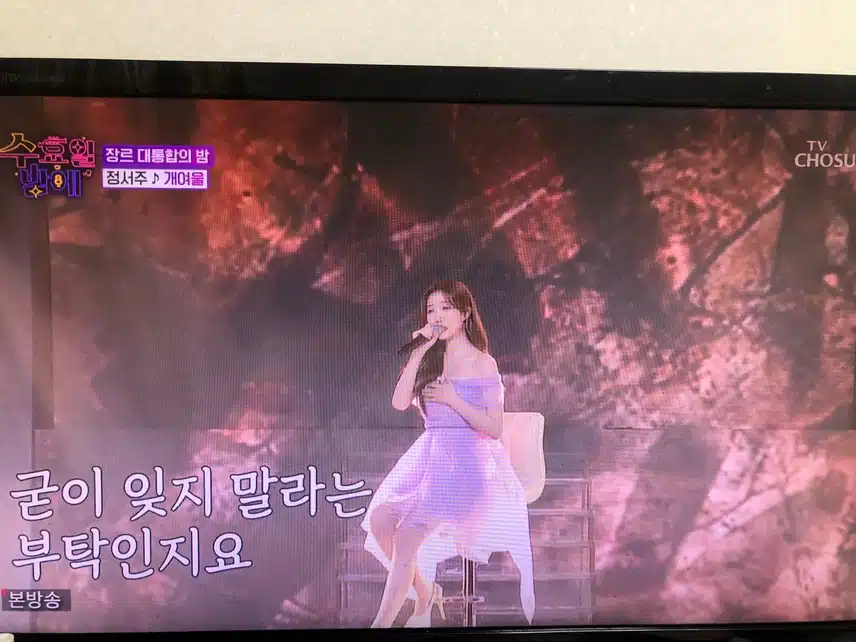 안성훈VS 정서주 최애의 대결