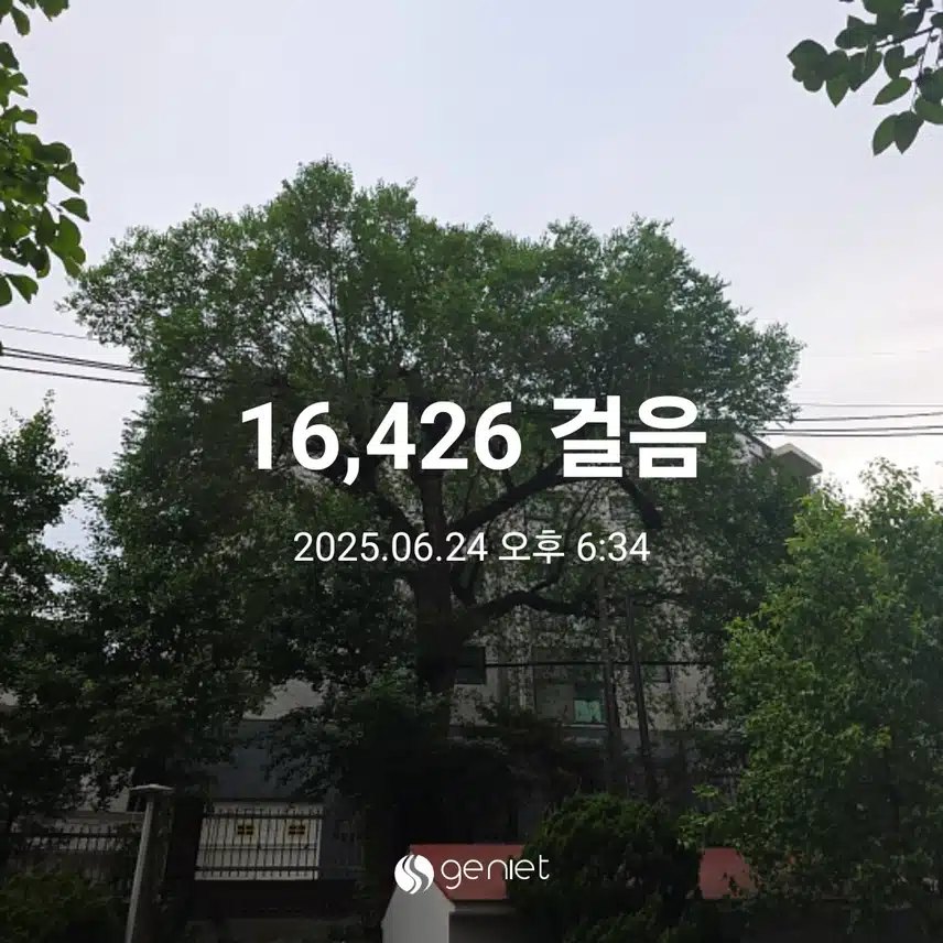 화요일 마무리 
