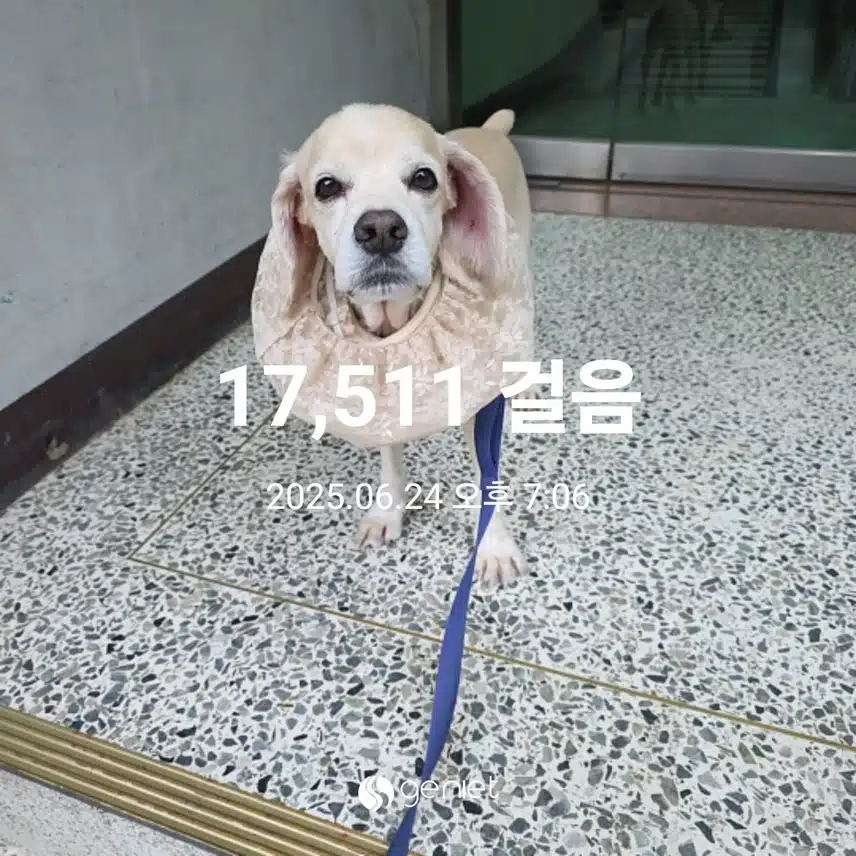 화요일 마무리 