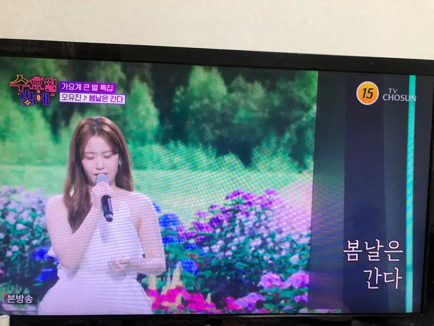 목소리톤에 맞는 노래를 찾은듯한 무대