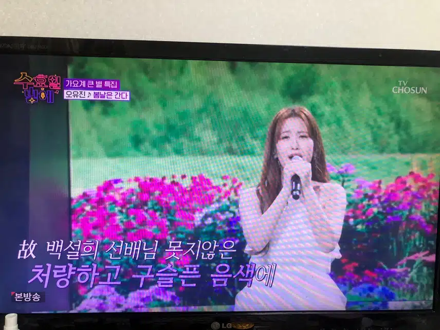목소리톤에 맞는 노래를 찾은듯한 무대
