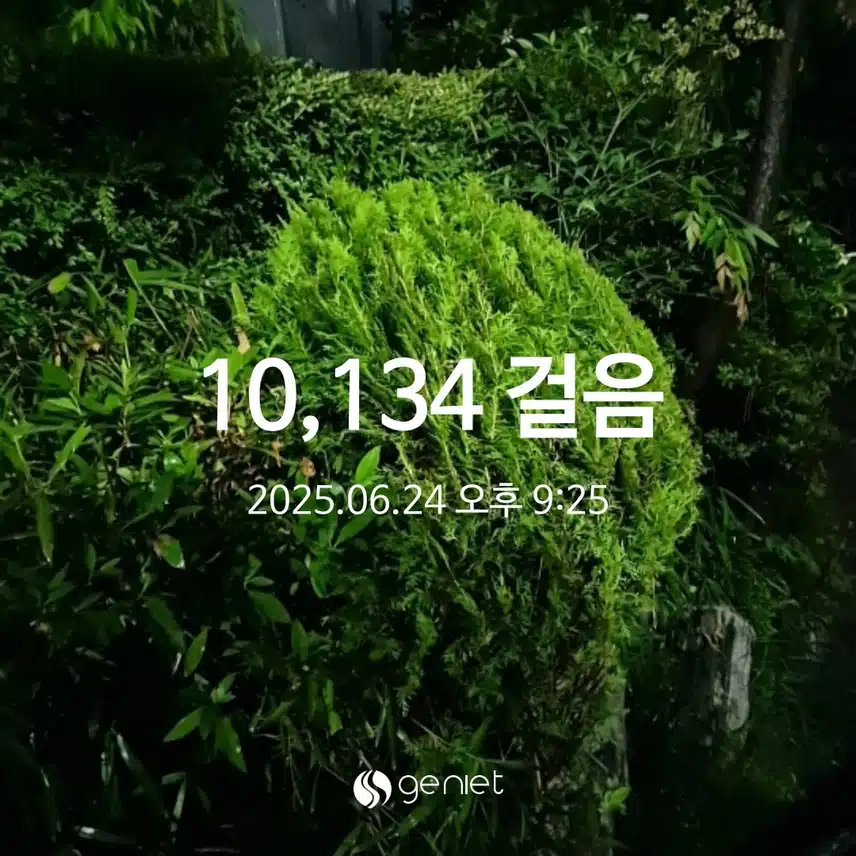 화요일 밤 만보걷기!