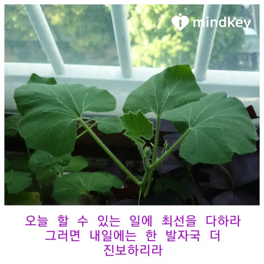 오늘을 가꾸는 말