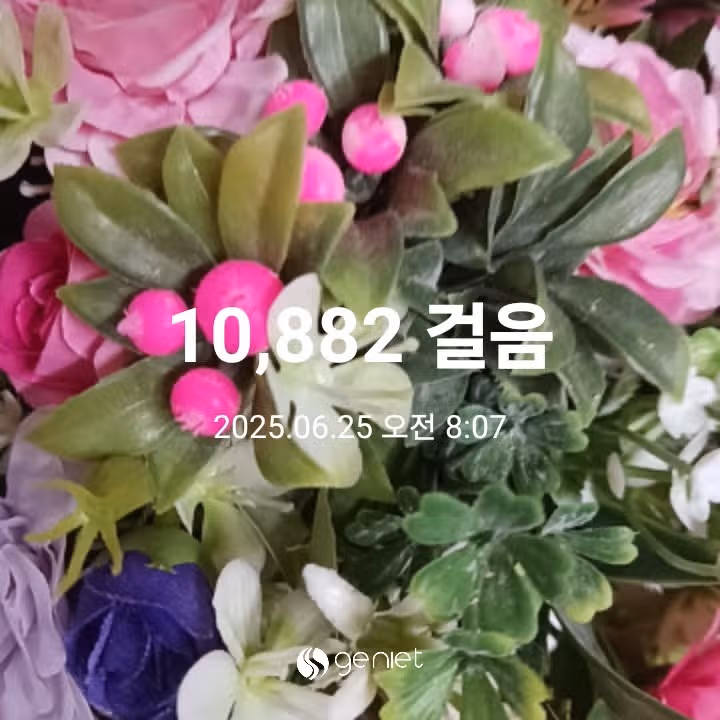 오전 운동 