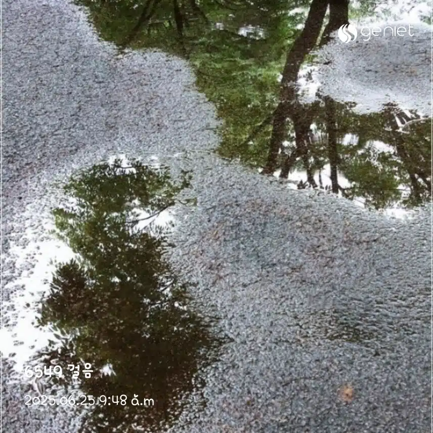 오전 산책~🏃‍♀️
