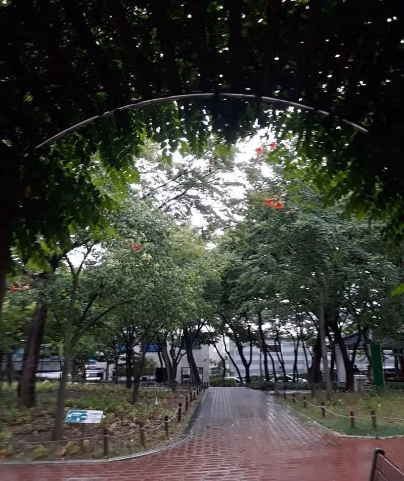 비 오기전 산책