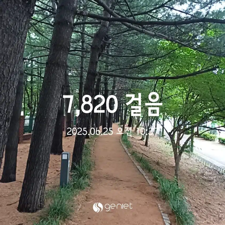 오전 걷고 왔어요 