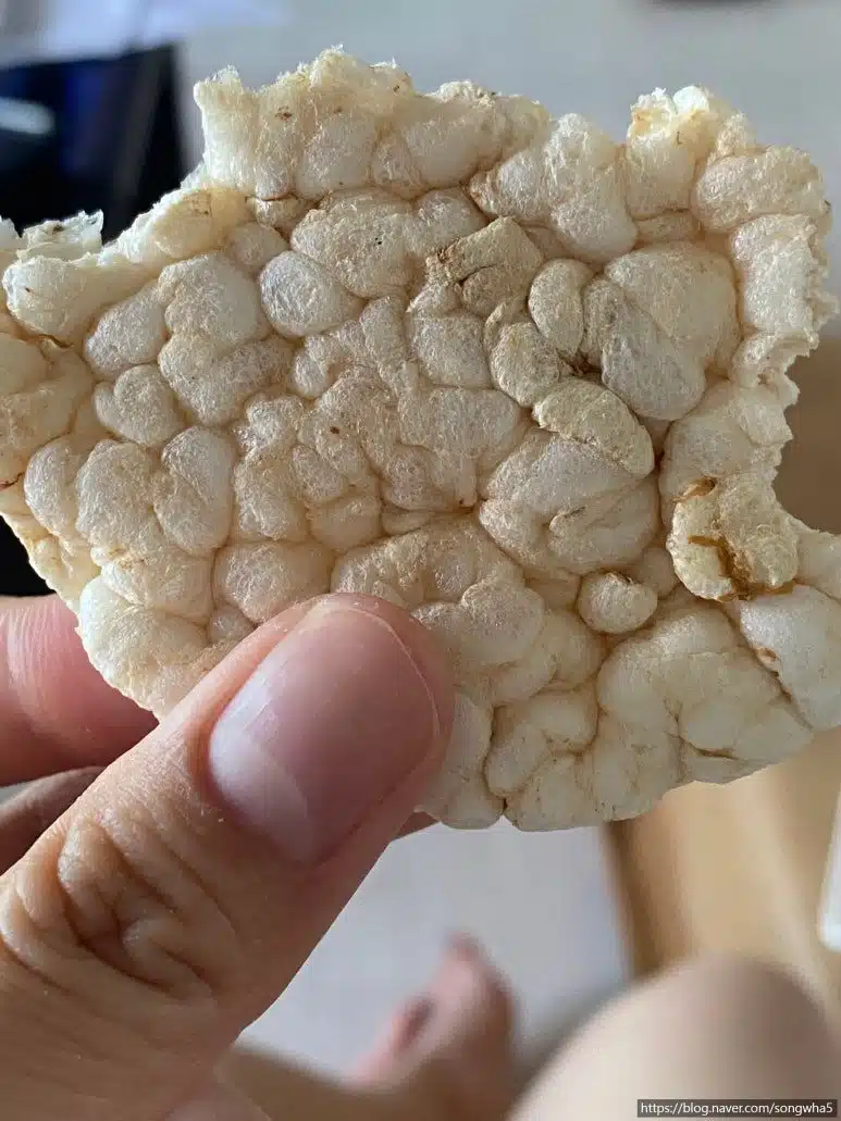 저당간식 테이수ㄷㄷㅣ 호라산 밀현미뻥
