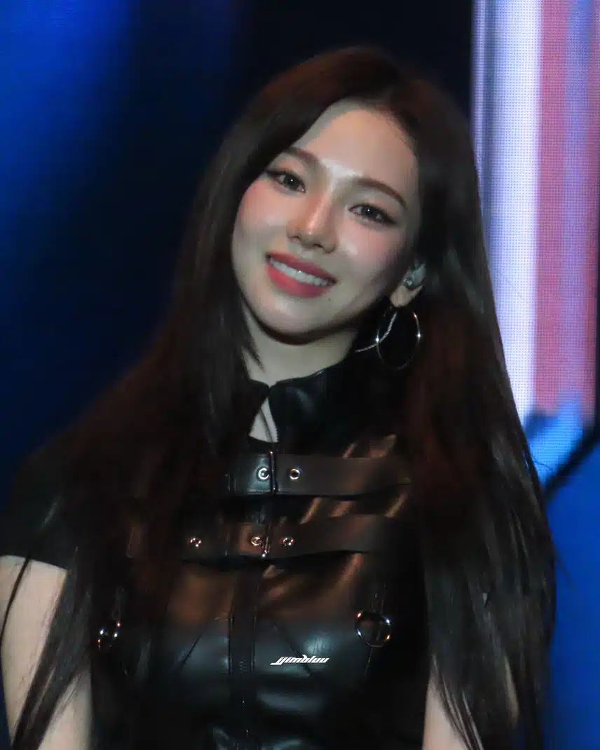 어제자 지민정 파리 마와진 뮤직 페스티벌 프리뷰jpg
