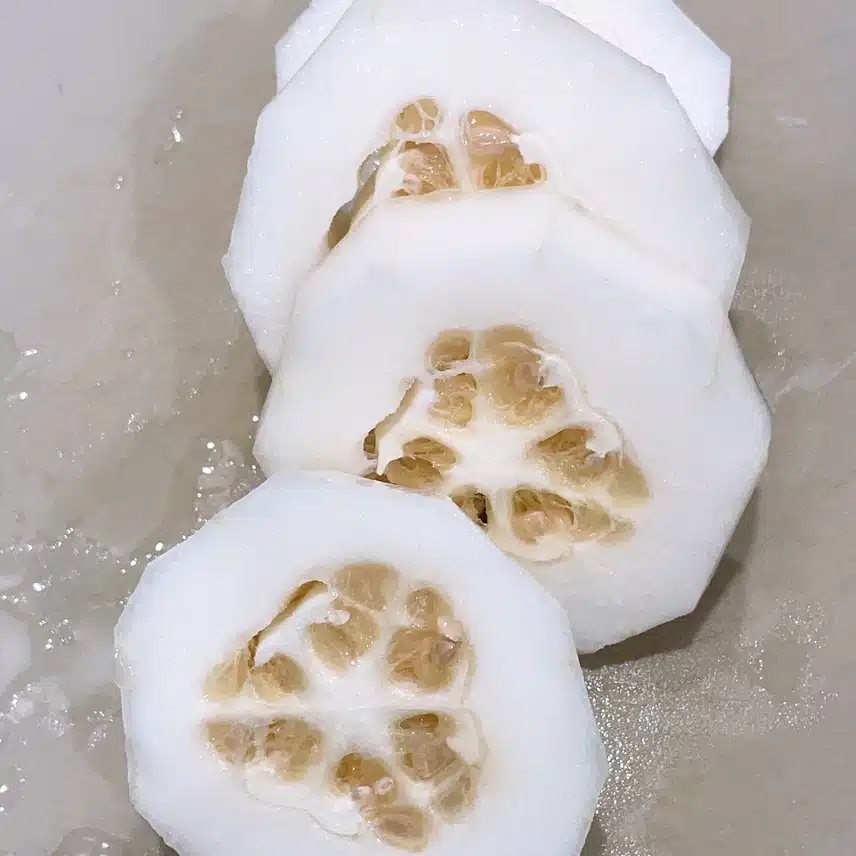 참외💛