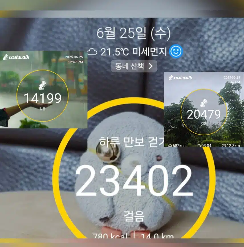 수요일 목표만큼 걷기운동 완료요~(^_^)v