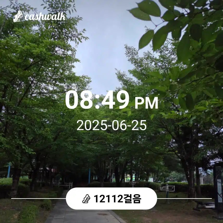 만이천보 걸었어요 