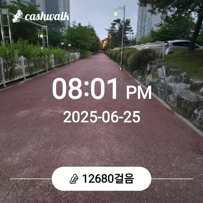 만보걷기를....