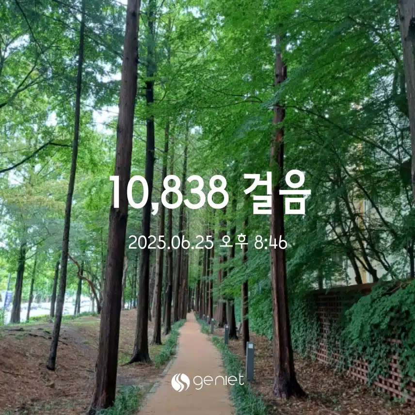 수욜 걸음 