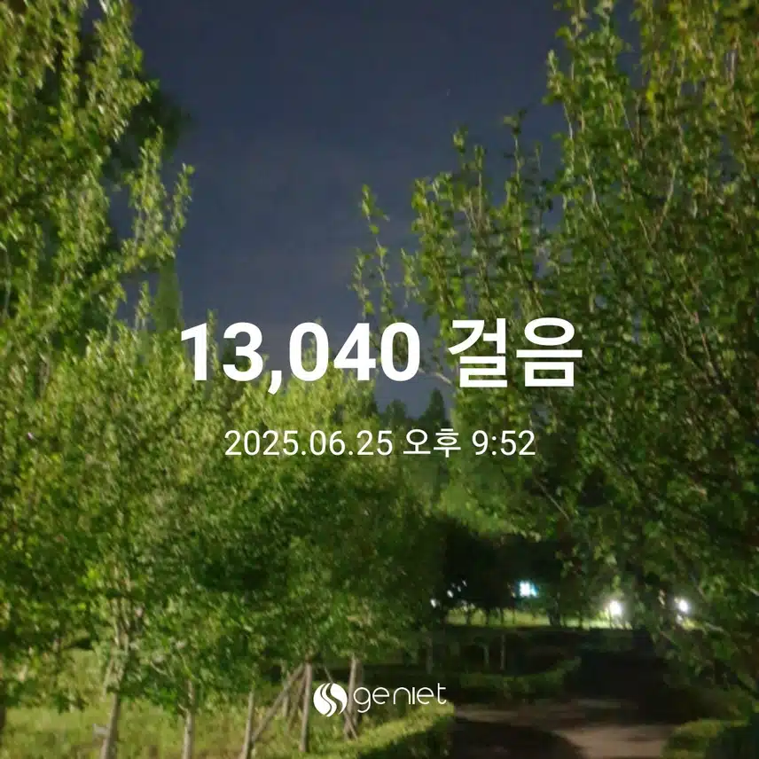 밤 산책