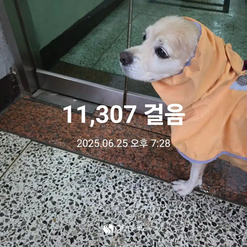 수요일 마무리 