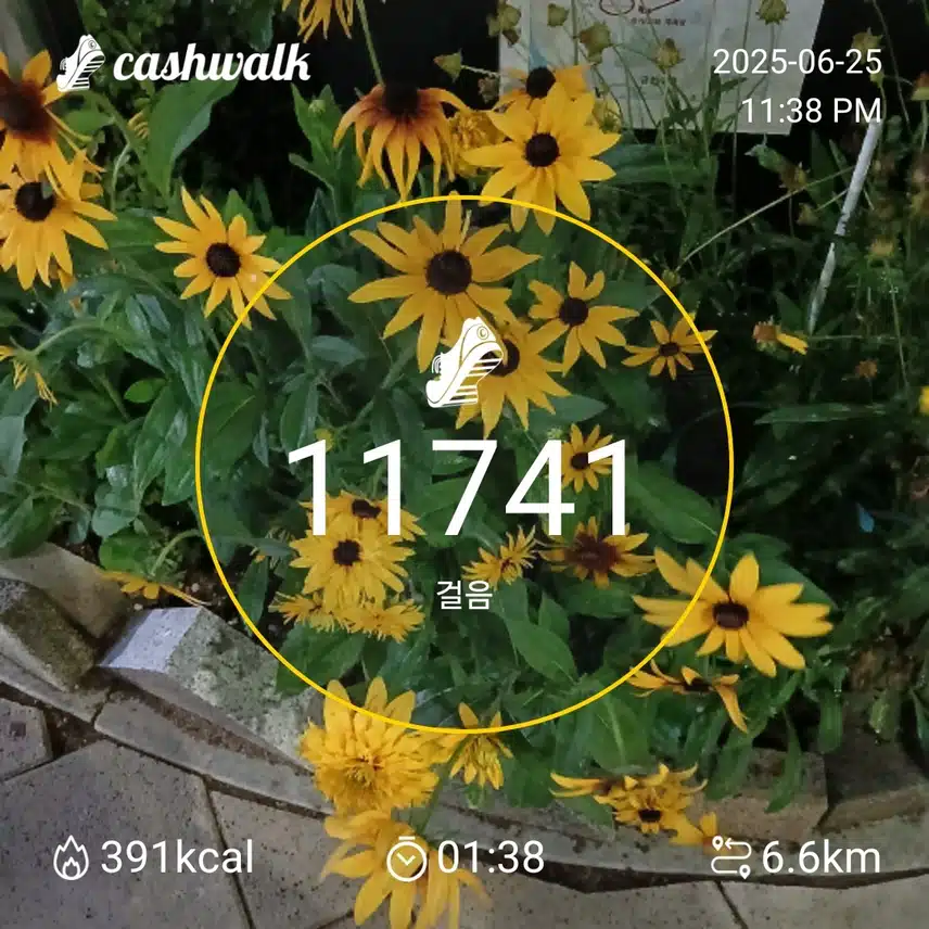 걷기 인증샷232일차