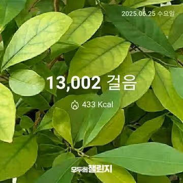 6월 25일 만삼천보 완주 