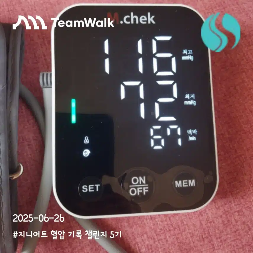 4일차