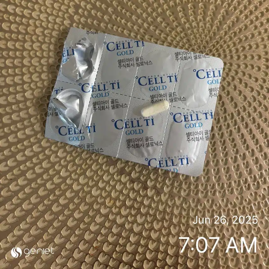 유산균💊