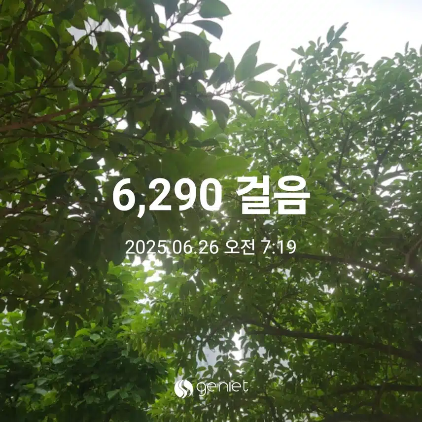 상쾌한 산책으로🏃