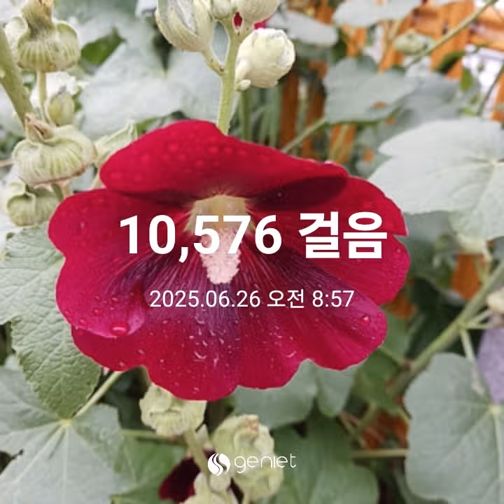 오전 운동 