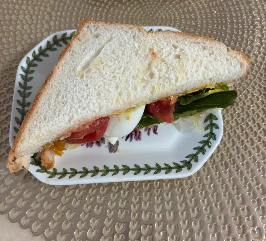 아침식단🥪