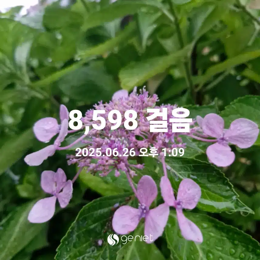 선선해서 점심 먹고 걷기 좋네요