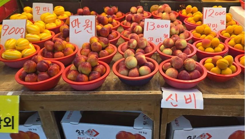경기 살리기 통 큰 세일 <새빛세일페스타> 행사
