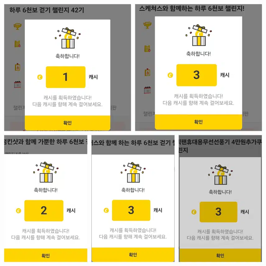 팀워크 하루 걷기 챌린지 인증 캐시