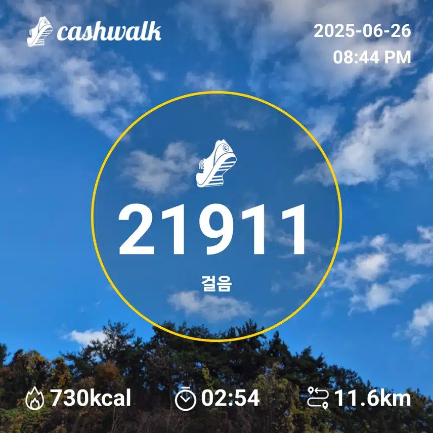 만보인증